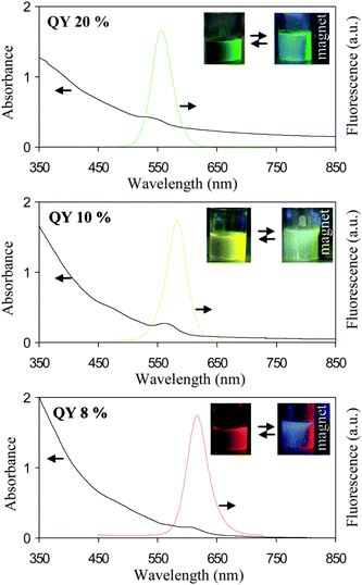 Absorption and fluorescence spectra of three different types of aqueous MQD solutions composed of 10 nm γ-Fe2O3 and three different sizes of CdSe–ZnS. Inset: typical digital picture of stable colloidal solution and their magnetic response in presence of excesses Na2HPO4. The reversible sign (⇆) indicates that salt induced aggregation is reversible i.e. the precipitate can be redispersed in fresh water.