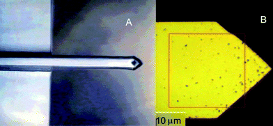 Low resolution optical image of a commercial MAClever® at the top side face (A) and high resolution confocal optical image at the top side (B) after its successive interaction with superparamagnetic nanoparticles, gold nanoparticles, and washings.
