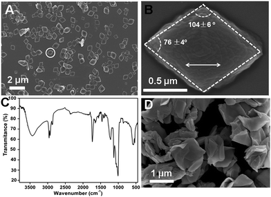 (A) SEM image of the rhombic plates. (B) Enlarged image of the rhombic plate in the white circle; the double-headed arrow shows the extended orientation. (C) FT-IR pattern of the products. (D) The rhombic plates after calcination at 500 °C in air.