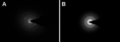 During the morphology change from rhombus (A) to round (B), anisotropic diffraction dots became isotropic rings in the corresponding SEAD pattern.