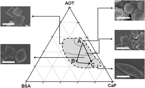 Controlled synthesis of hybrids by a morphological ternary diagram. The co-assembly occurred within the grey area and the formation of mesocrystals was preferred in its left and bottom sections. The typical morphology of the final products were also demonstrated. Bar = 1μm.