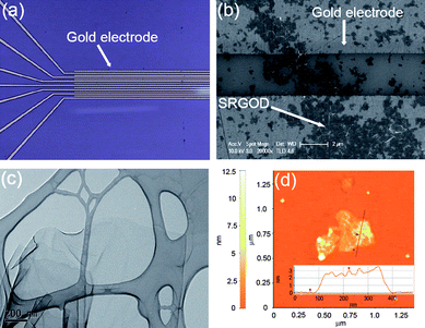 (a) Photograph of interdigitated electrodes, (b) SEM image of SRGODs across two gold electrodes, (c) TEM image of SRGOD, and (d) AFM image of SRGOD. Inset represents the cross-sectional contour plot between the mica surface and the SRGOD of the scan line in the area.