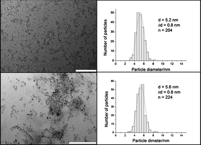 TEM images and size distributions of (a) NaAOT coated Co NPs and (b) Co–Au NPs. There is no significant difference in the size between the two types of NPs. Scale bar 100 nm.