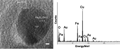 HRTEM image and EDX spectrum of a Fe3O4-Au NP. Scale bar 1 nm.