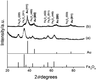 XRD patterns of (a) Fe3O4 and (b) Fe3O4-Au NPs with reference peaks for Fe3O4 and Au.