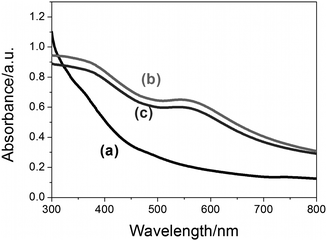 UV-visible spectra of (a) Fe3O4 NPs in hexane, (b) Fe3O4-Au NPs in water and (c) thiolated DNA conjugated to Fe3O4-Au NPs in water. The broad absorption peaks in the 500 nm to 650 nm range indicate the presence of Au in the samples.