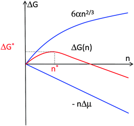 Illustration of the thermodynamic effects of formation of a crystal. n—number of molecules in crystal; Δμ—solution supersaturation; α—surface free energy; ΔG—free energy; * denotes critical cluster.