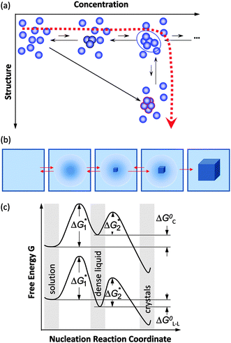 Schematic illustration of the two-step mechanism of nucleation of crystals. A dense liquid cluster forms. A crystal nucleus may form inside the cluster. (a) Microscopic viewpoint in the (Concentration, Structure) plane; (b) Macroscopic viewpoint of events along dashed line in (a). (c) The free-energy ΔG along two possible pathways for nucleation of crystals from solution. If dense liquid is unstable and ΔG0L–L > 0 (ΔG0L–L is the standard free energy of formation of dense liquid phase), dense liquid exists as mesoscopic clusters, ΔG0L–L transforms to ΔG0C, and upper curve applies; if dense liquid is stable, ΔG0L–L < 0, reflected by lower curve. ΔG*1 is the barrier for formation of a cluster of dense liquid, ΔG*2 the barrier for a structure fluctuation leading to an ordered cluster.