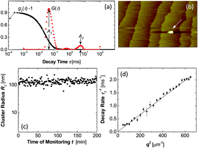 Characterization of dense liquid clusters. (a) Examples of correlation function of the scattered intensity g2(τ) and the respective intensity distribution function G(τ) of a lysozyme solution with C = 148 mg ml−1 in 20 mM HEPES buffer; data collected at angle 145°. (b) Atomic force microscopy imaging of liquid cluster landing on the surface of a crystal in a lumazine synthase solution. Tapping mode AFM imaging, scan width 20 μm. Apparent lateral cluster dimensions are misleading, cluster height is 120 nm, with permission from Ref. 72. (c) Time dependence of the radius of dense liquid clusters in the same lysozyme solution as in a. (d) The dependence of the decay rate Γ2 = τ2−1 of the cluster peak in the correlation function on the squared wave vector q2 for a lysozyme solution as in (a).