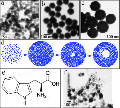 The evolution of CdSe nanostructures with reaction time: (a) 4, (b) 8 and (c) 24 h; (d) an illustration of the formation process of the CdSe hollow nanospheres based on Ostwald ripening; (e) the structure of tryptophan; (f) a TEM image of the CdSe product obtained without tryptophan.