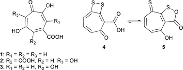 Stipitatic (1), puberulonic (2), puberulic (3), tropodithietic acids (4), and thiotropocin (5).