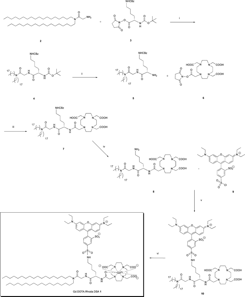 (i) Et3N, CH2Cl2, 40 °C, 5 h, 92%, (ii)TFA–CH2Cl2: 1 : 1 v/v, rt, 2.5 h, quantitative, (iii) Et3N, CH2Cl2, 45 °C, 12 h, 67% (iv) H2, Pd-C 10%, 1,4-cyclohexadiene, MeOH–H2O: 2 : 1 v/v, 60 °C, 3 h, 60%, (v) 1% Et3N, CH2Cl2, rt, 12 h, 95%, (vi) 6H2O·GdCl3, H2O, 90 °C, 12 h, quantitative.