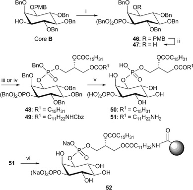 Synthesis of dipalmitoyl-PI(3)P 50 and immobilised NH2-PI(3)P 52. Reagents and conditions: i. (BnO)2P(NiPr2), 1H-tetrazole, CH2Cl2, rt, then mCPBA, −78 °C → rt, 87%; ii. CAN, MeCN–H2O (4/1, v/v), 83%; iii. phosphoramidite 34, 1H-tetrazole, CH2Cl2, rt, then mCPBA, −78 °C → rt, 48: 90%; iv. phosphoramidite 38, 1H-tetrazole, CH2Cl2, rt, then mCPBA, −78 °C → rt, 49: 84%; v. H2 (4.1 or 3.8 bar), Pd black, tBuOH, 50: 89% from 48; 51: 62% from 49; vi. Affi-Gel® 10, NaHCO3, CHCl3–MeOH/H2O (4/5/1, v/v/v), 0 °C → rt, 2% loading.