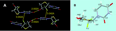 Packing patterns of (A) 5a, which exhibits important intermolecular hydrogen bonding and F⋯CO interaction; and the crystal structures of (B) 5a.
