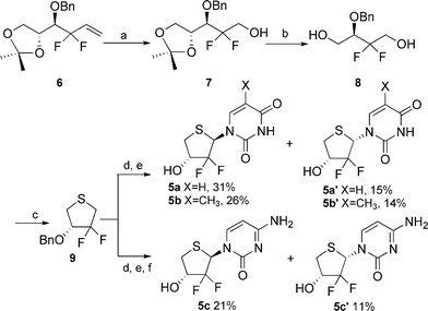 Synthesis of compounds 5a–c. Reagents and conditions: (a) i. O3, CH2Cl2, −78 °C, ii. NaBH4; (b) i. TFA–H2O–THF (1 : 1 : 1), ii. NaIO4, acetone, iii. NaBH4; (c) i. MsCl, pyridine, ii. Na2S.·9H2O, DMF, 90 °C; (d) i. m-CPBA, CH2Cl2, −78 °C, ii. silylated base, TMSOTf, DCE; (e) BCl3, CH2Cl2, −70 °C; (f) NH3, CH3OH