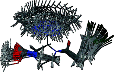 Superposition of the energy minimized conformations resulting upon 10° rotation of the axially oriented pyrrolidinylethyl moiety of 2.