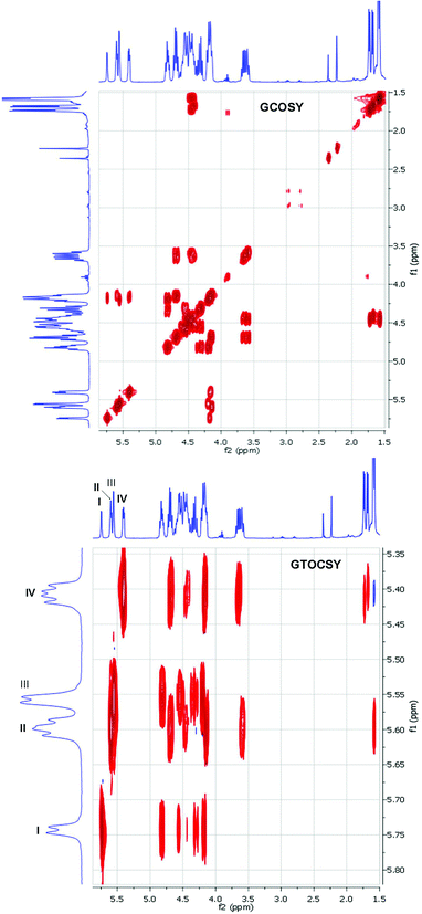 1H–1H GCOSY and GTOCSY spectra of compound 21 in pyridine-d5 recorded at 400 MHz.