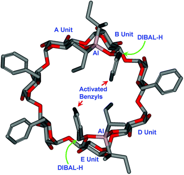 The molecular model of a possible β-CD intermediate that shows the clockwise coordination by aluminium from the O6–Al(i-Bu)2 group in unit A and B, to the neighboring benzylated O6 (unit B and E). The coordination activates the related benzyl group, which facilitates the attack by another DIBAL-H from the exterior of the cavity. (For clarity, all H atoms and benzyl groups attached to the secondary face were removed.)