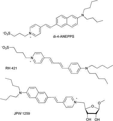 Chemical structures of some voltage-sensitive fast response probes.