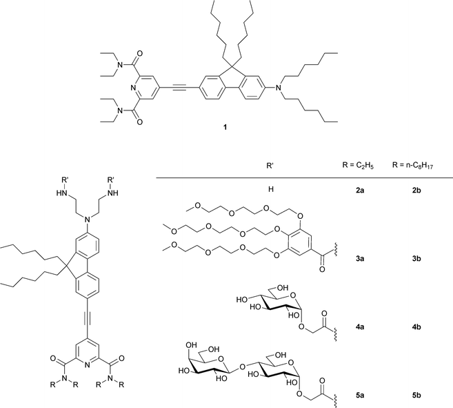 Structure of new pyridine dicarboxamide nonlinear probes.