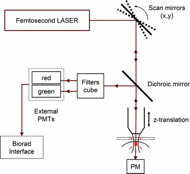 Schematic representation of the microscopy set-up.