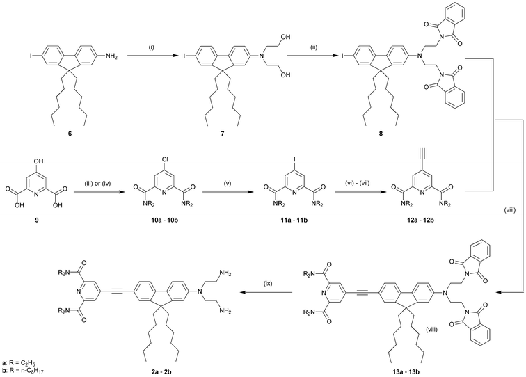 Synthesis of the diamino compounds (2a) and (2b). Reagents and conditions: (i) 1-bromoethanol, NaI, Na2CO3, DMF, 95 °C, 48 h, 66%; (ii) N-phthalimide, PPh3, DEAD, THF, rt, 18 h, 95%; (iii) R = ethyl: SOCl2, DMF cat., reflux, 2 h, then Et2NH, CH2Cl2, reflux, 2 h, 93% or (iv) R = n-C8H17: SOCl2, DMF cat., reflux, 2 h, then NH(n-C8H17)2, Et3N, CH2Cl2, reflux, 2 h, 90%; (v) 57% HI, H3PO3, 80 °C, 3.5 h, 72% (11a)/76% (11b); (vi) trimethylsilylacetylene, CuI, PdCl2(PPh3)2, THF, Et3N, rt, 4 d; (vii) K2CO3, MeOH, rt, 2 h, for the two steps 86% (12a)/61% (12b); (viii) CuI, PdCl2(PPh3)2, THF, Et3N, 50 °C, 48 h, 60% (13a)/65% (13b); (ix) NH2NH2·H2O, crotyl alcohol, THF, reflux, 18 h, 90% (2a)/95% (2b).