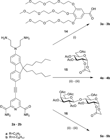 Synthesis of the target probes 3–5. Reagents and conditions: (i) DiC, HOBt, CH2Cl2, rt, 2 d, 51% (3a)/58% (3b); (ii) CH2Cl2, rt, 12 h; (iii) MeONa cat., MeOH, rt, 16 h, 45% (4a)/74% (4b), 30% (5a)/63% (5b) overall yield for the 2 steps.