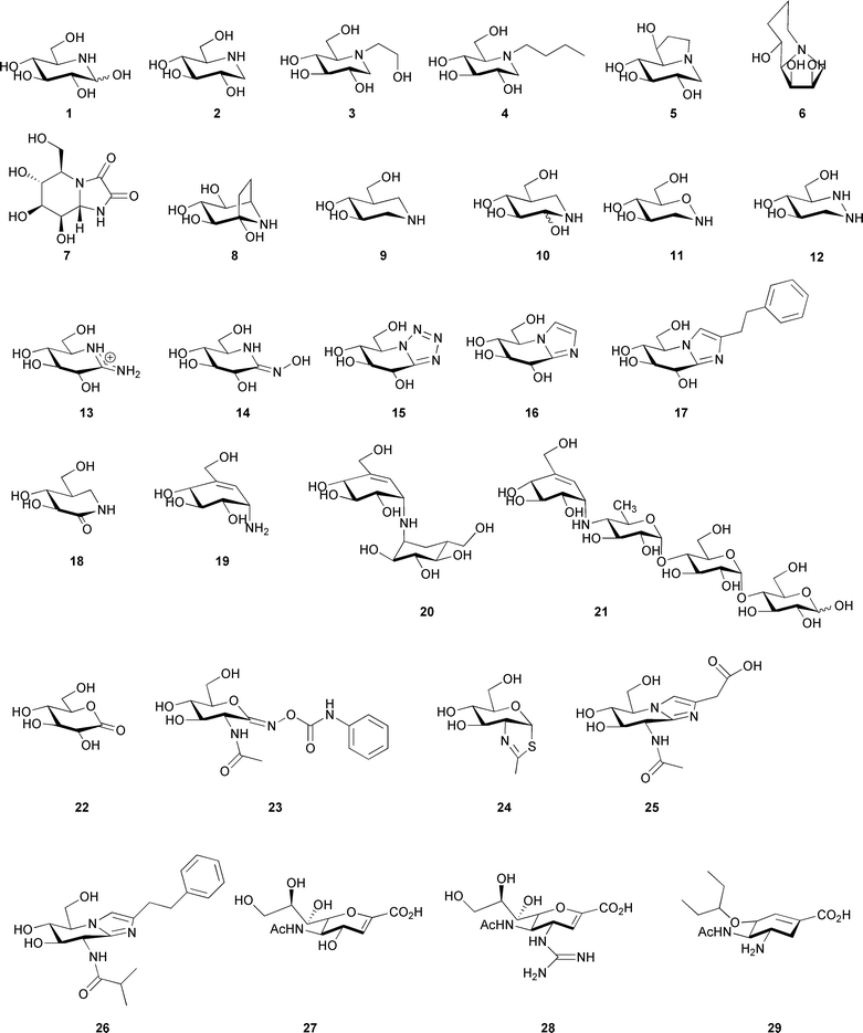 Structure of nojirimycin (1), deoxynojirimycin (2), Miglitol (3), N-butyl deoxynojirimycin (4), castanospermine (5), swainsonine (6), kifunensine (7), calystegine B2 (8), isofagomine (9), noeuromycin (10), tetrahydrooxazine (11), azafagomine (12), gluco-amidine (13), gluco-hydroximolactam (14), glucotetrazole (15), unsubstituted glucoimidazole (16), phenethyl-substituted glucoimidazole (17), isofagomine lactam (18), valienamine (19), validoxylamine A (20), acarbose (21), gluconolactone (22), PUGNAc (23), NAG-thiazoline (24), gluco-nagstatin (25), GlcNAcstatin C (26), 2-deoxy-2,3-didehydro-N-acetylneuraminic acid (27), Relenza (28), and Tamiflu (29).