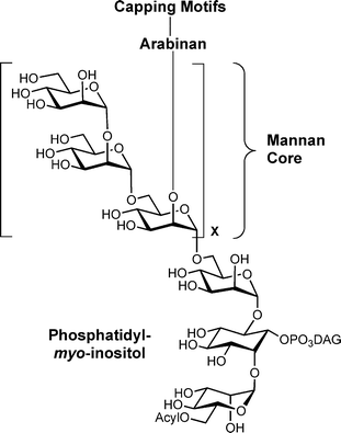 Composite structure of mycobacterial LAM; DAG = diacylglycerol.