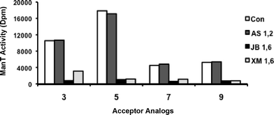 Mannosidase digestion of products formed from 3, 5, 7 and 9. Each acceptor at 2 mM was incubated with [3H] GDP-Man under the assay conditions as described in the experimental section. The radiolabeled enzymatic products were divided evenly after purification and treated with exo-mannosidases including Aspergillus saitoiα-(1→2)-mannosidase (AS), jack bean α-(1→2,3,6)-mannosidase (JB) and Xanthomonas manihotisα-(1→6)-mannosidase (XM). The mannosidase-digested samples were purified using C18 reversed-phase column and the radioactivities were compared with the controls (without any mannosidase treatment).