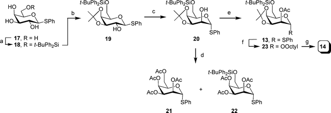 Reagents and conditions: a) t-BuPh2SiCl, imidazole, DMF, 45 °C, 94%; b) 2,2-dimethoxypropane, pTsOH, acetone, quant.; c) i: oxalyl chloride, DMSO, −78 °C; then alcohol 19, warm to −60 °C; then Et3N, warm to rt.; ii: NaBH4, MeOH, 62%; d) i: 80% aq. AcOH, 50 °C; ii: Ac2O, DMAP, CH2Cl2, pyridine, 65% for 21 and 26% for 22; e) Ac2O, CH2Cl2, pyridine (1 : 1), 89%; f) octanol, NIS, TMSOTf, 4 Å MS, CH2Cl2, 0 °C, 89%; g) TBAF, THF, 74%.