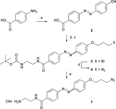 Linker synthesis. Reagents and conditions: (a) i. NaNO2, HCl, 0 °C, 20 min; ii. PhOH, NaOH, K2CO3, 0 °C to RT, 3 h, 90%; (b) BocNHCH2CH2NH2, EDC, HOBt, DMF, 18 h, 60%; (c) 1,3-dibromo-propane, K2CO3, CH3CN reflux, 5 h, 67%; (d) NaN3, DMF, 18 h, 90%; (e) MeOH, CH3COCl, 0 °C to RT, Et2O, 1 h, 90%.
