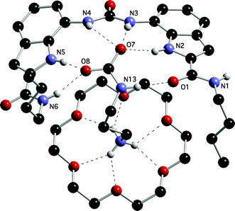A view of one of the two complexes in the asymmetric unit of the ternary complex of the AAAC salt formed by 1,3-diaminopropane and carbon dioxide bound to receptor 9 and 18-crown-6. Solvent and non-acidic hydrogen atoms have been omitted for clarity.