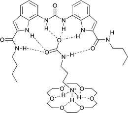 Diagram of one of the two complexes in the asymmetric unit of the ternary complex of the AAAC salt formed by 1,3-diaminopropane and carbon dioxide bound to receptor 9 and 18-crown-6.