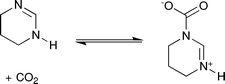 Formation of THP-CO2 by reaction of 1,4,5,6-tetrahydropyrimidine with carbon dioxide.
