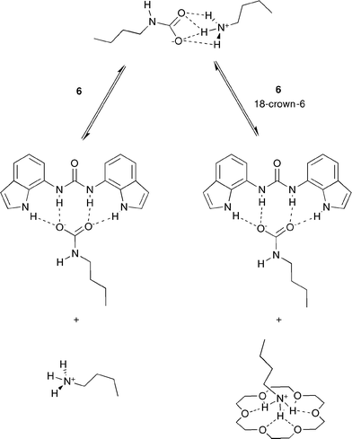 Expected binding modes between 6 and AAAC salts in the presence and absence of 18-crown-6.