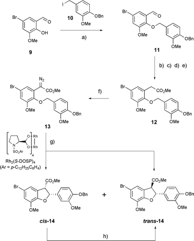 Synthesis of an aryl bromide functionalised precursor to dihydrodehydrodiconiferyl alcohol. Reagents and conditions: (a) KH, 18-crown-6, THF, 60 °C, 1.5 h (98%); (b) nBuLi, (methoxymethyl) triphenylphosphonium chloride, THF, −78 °C→rt, 5 h (70%); (c) Hg(OAc)2, MeCN–H2O, rt, 1 h (67%); (d) NaClO2, 2-methyl-2-butene, NaH2PO4·2H2O, tBuOH–H2O, 0 °C→rt then rt, 14 h (86%); (e) CH2N2, Et2O–THF, −78 °C→rt (95%); (f) p-ABSA, DBU, MeCN, 0 °C→rt then rt, 24 h (90%); (g) Rh2[S-DOSP]4 (1.3 mol%), toluene, 0 °C, 2 h (95%); (h) NaOMe, MeOH, −60 °C, 26 h (96%).