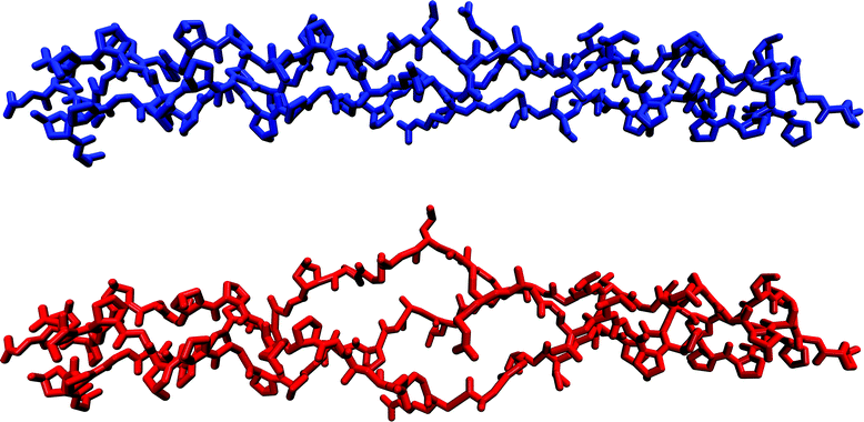 “Ball and stick” computer generated models of (top) a continuous collagen triple-helix (peptide T3-785, 3[(Pro-Hyp-Gly)3-Ile-Thr-Gly-Ala-Arg-Gly-Leu-Ala-Gly-(Pro-Hyp-Gly)4]325) and (bottom) an unwound (heat denatured) version of the same sequence.