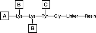 Template for C-terminal branching strategy.