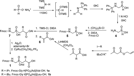 Synthesis of protected phosphinate amino acids and phosphinodipeptides.