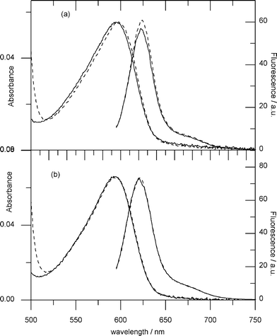 Absorption and fluorescence spectra of GTPTR partially bound to (a) YtvA-K128A and (b)YtvA-K130A, in the dark (dashed lines) and light (solid lines) state. The value of α is ca. 0.5 for both proteins. The two proteins are examples for signal-transmission “innocent” (K128A) and “guilty” (K130A) mutations.
