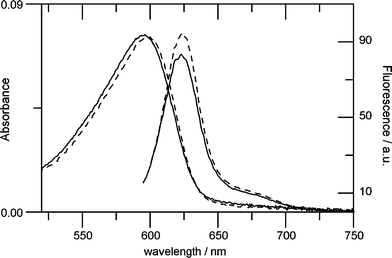 Absorption and fluorescence spectra of GTPTR partially bound to YtvA-Y132A, in the dark (dashed lines) and light (solid lines) state. The value of α is ca. 0.5. The light-induced spectral changes in this protein are larger than in YtvA-WT.
