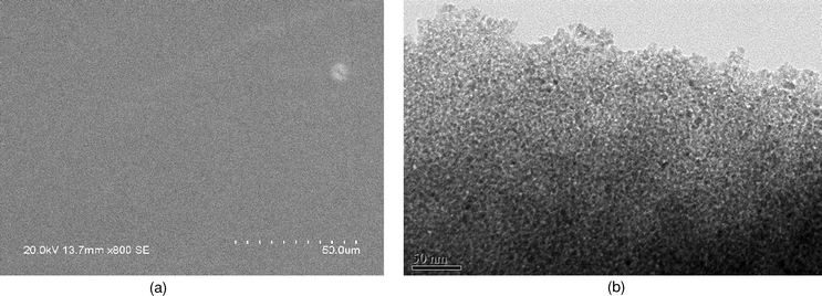 SEM (a) and TEM (b) images of the mesoporous TiO2 film.