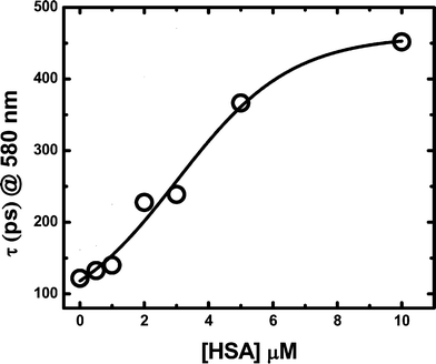 Effect of HSA addition upon the excited singlet RB lifetime. Fluorescence intensity was measured at 580 nm after laser flash lamp excitation at 532 nm. All measurements were performed in PBS buffer 100 mM pH 7.4 with 10 μM RB.