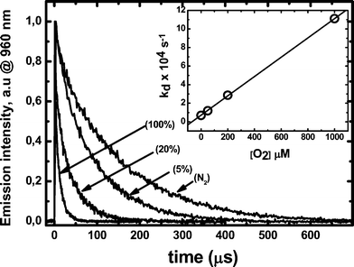 Triplet RB phosphorescence time profile measured at 960 nm of 10 μM of dye in presence of 10 μM HSA at different oxygen concentrations. The inset shows the change of 1/τ as a function of oxygen concentration. All measurements were performed in deuterated PBS 100 mM buffer pD 7.4.