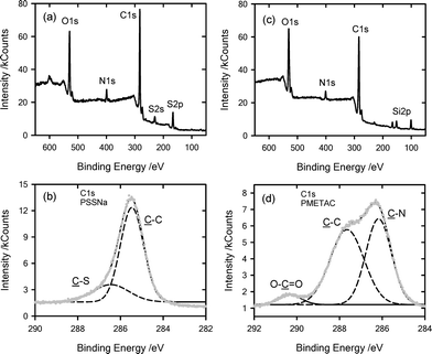 
            XPS analysis corresponding to: (a) PSSNa-modified silicon, broad spectrum, (b) PSSNa-modified silicon, 1Cs region, (c) PMETAC-modified silicon, broad spectrum, (d) PMETAC-modified silicon, C1s region.