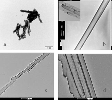 
            TEM microphotographs of polyPyr-based nano-structures released from AAO membranes: (a) poly(DPL1) nanorods, basic digestion, 100 nm membrane pores (scale bar: 1.0 µm); (b) poly(DPL1) nanotubes, acidic digestion, 200 nm membrane pores (scale bar: 200 nm), (inset: same nanomaterial for 100 nm membrane pores, scale bar: 500 nm); (c and d) poly(2) and poly(3) nanotubes respectively, acidic digestion, 100 nm membrane pores.