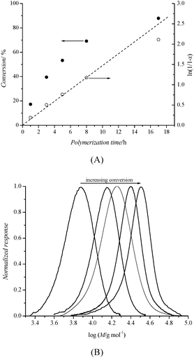 
            RAFT polymerization of acetal-POEGMA using acetal-RAFT (2) in toluene at 70 °C ([M] : [RAFT] : [AIBN] = 100 : 1 : 0.2). (A) Monomer conversion at different time intervals and pseudo-first-order kinetic plot for the homopolymerization; (B) SEC profiles of acetal-POEGMA at 17, 39, 53, 69, 88% monomer conversions.