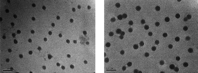 
            TEM analysis of the micelles (concentration of micelles 1 mg mL−1 in water) of copolymer POEGMA93-block-P(STY56-co-TMI167). Left: uncrosslinked, right: crosslinked, scale bar = 100 nm.