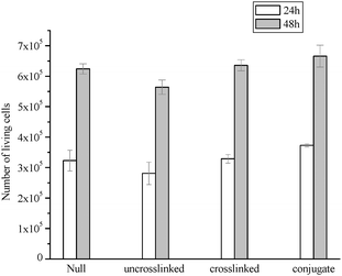 Number of living cells after being exposed to a solution containing uncrosslinked, crosslinked, and GRGDS conjugated micelles POEGMA93-block-P(STY56-co-TMI167) compared to the control experiment without added polymer (null).